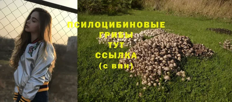 Галлюциногенные грибы MAGIC MUSHROOMS  omg онион  Рязань 